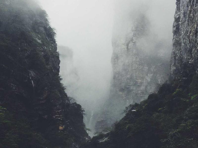 Rau ngót Đà Lạt