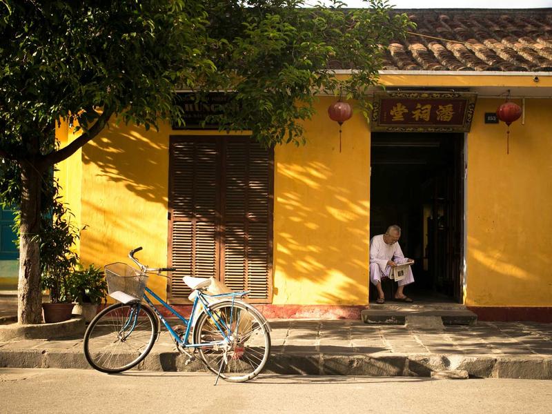Hoa baby vàng Đà Lạt